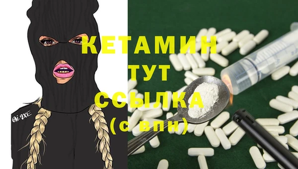 шишки Дмитров