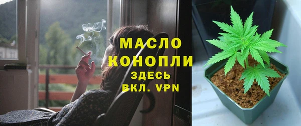 молекула духа Дмитровск