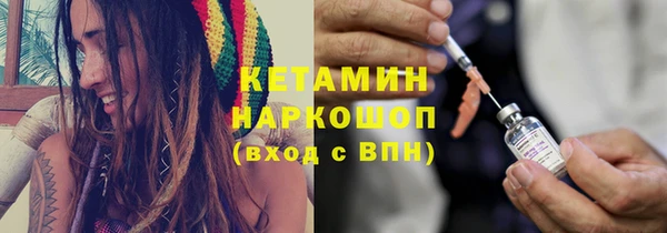 шишки Дмитров
