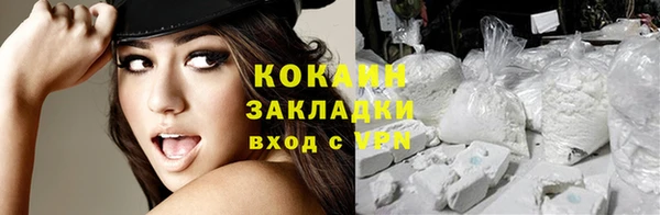 шишки Дмитров