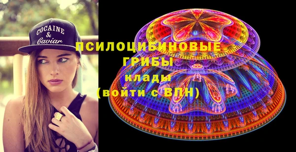 молекула духа Дмитровск