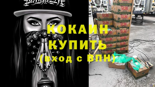 кокс Дмитриев
