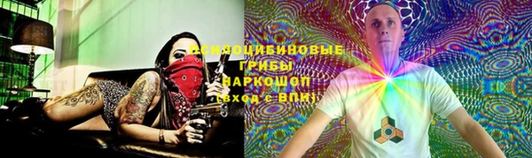 молекула духа Дмитровск