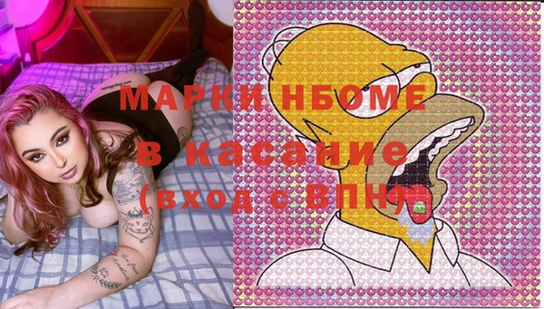 шишки Дмитров