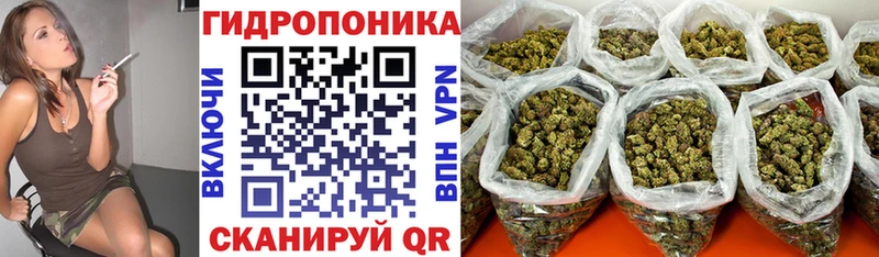 Купить  Моршанск  Шишки марихуана ГИДРОПОН 